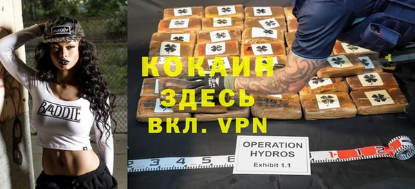 не бодяженный Арсеньев