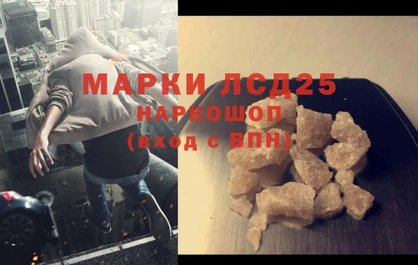 прущие грибы Аркадак