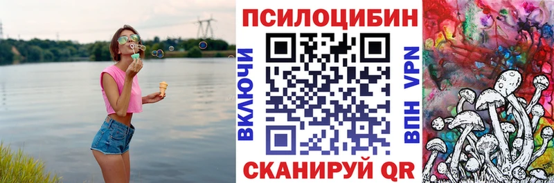 Купить  Улан-Удэ  Псилоцибиновые грибы GOLDEN TEACHER 